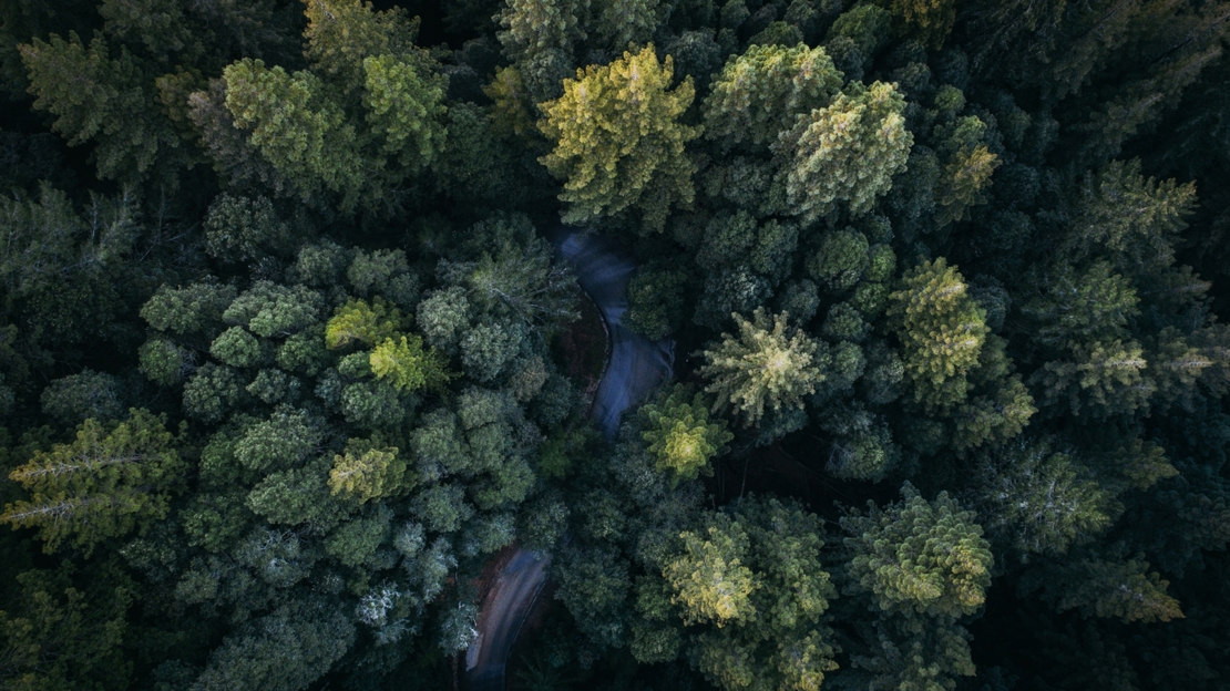 Intrum erhält eine B-Bewertung im Carbon Disclosure Project (CDP)